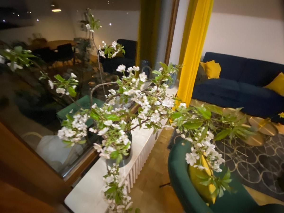 Ferienwohnung Panoramablick - Alpenmagie Suites Oberaudorf Kültér fotó
